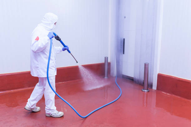 Best Playground Equipment Cleaning  in Pensacola Station, FL